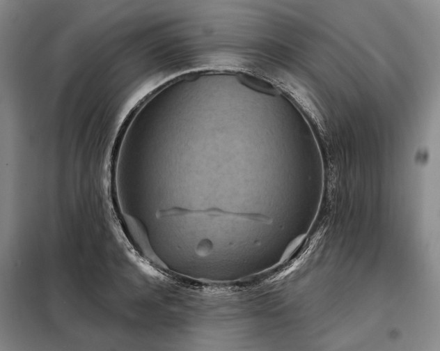 X0000098210944200805011207