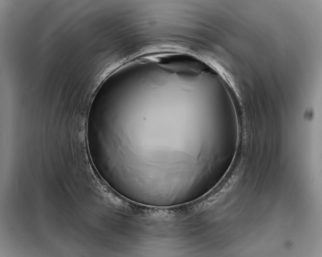 X0000098210945200805011207