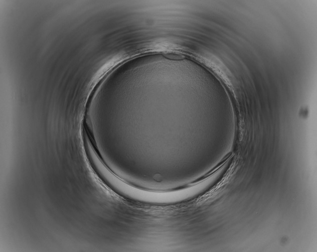 X0000098210946200805011207