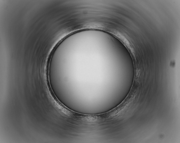 X0000098210947200805011207