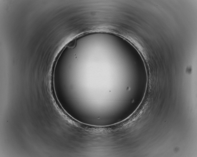 X0000098210949200805011207