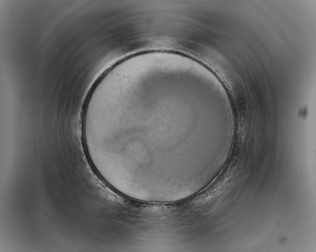 X0000098210950200805011207