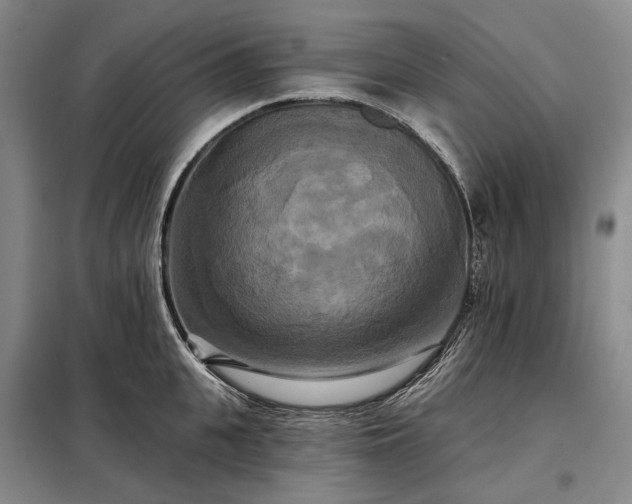 X0000098210951200805011207
