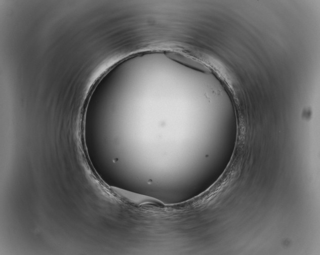X0000098210952200805011207