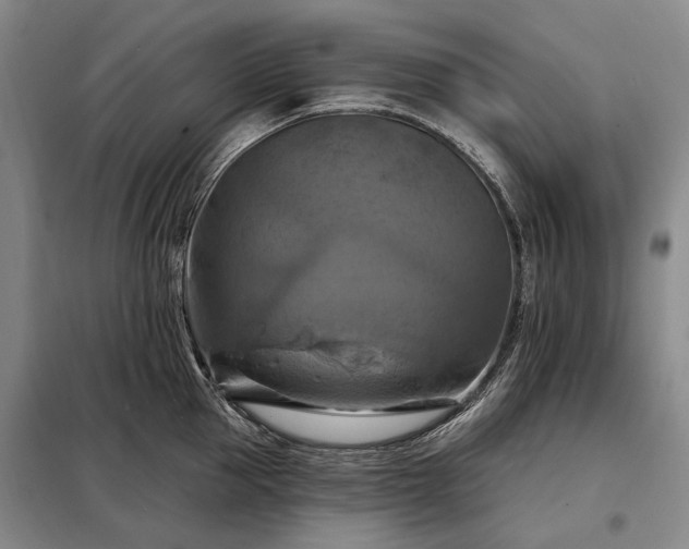 X0000098210953200805011207