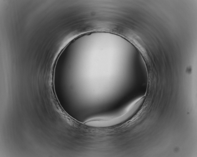 X0000098210956200805011207