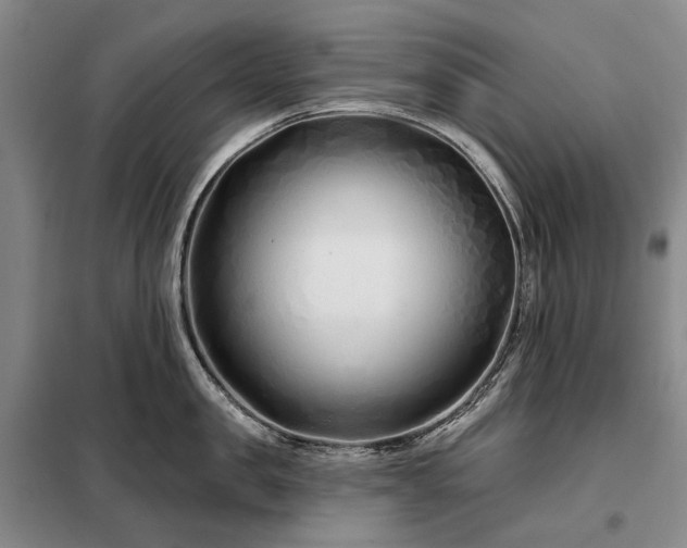 X0000098210957200805011207