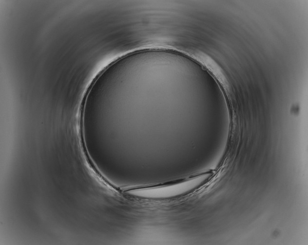 X0000098210958200805011207