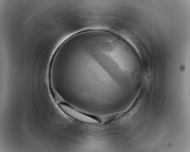 X0000098210959200805011207
