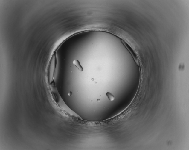 X0000098210960200805011207