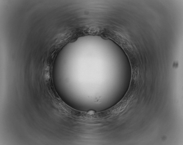 X0000098210962200805011207