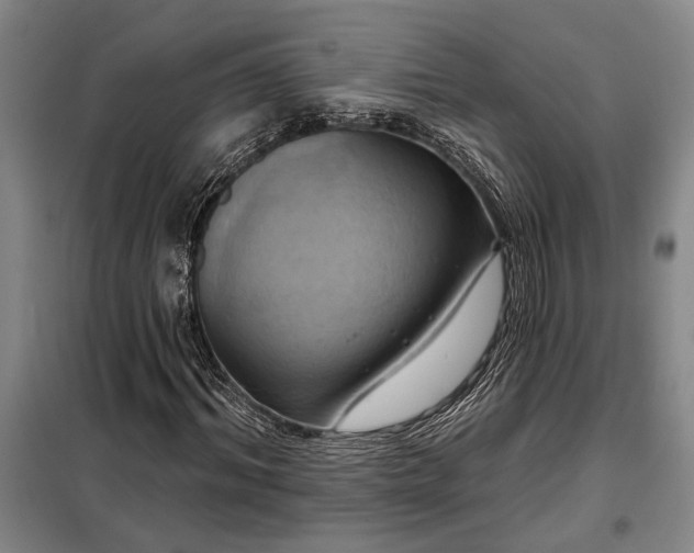 X0000098210964200805011207
