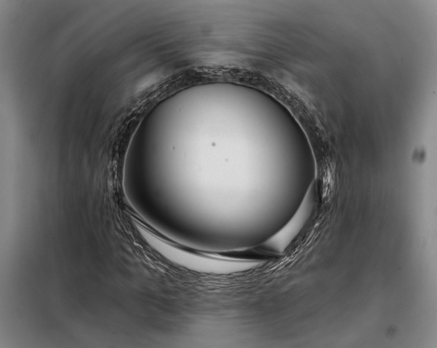 X0000098210965200805011207