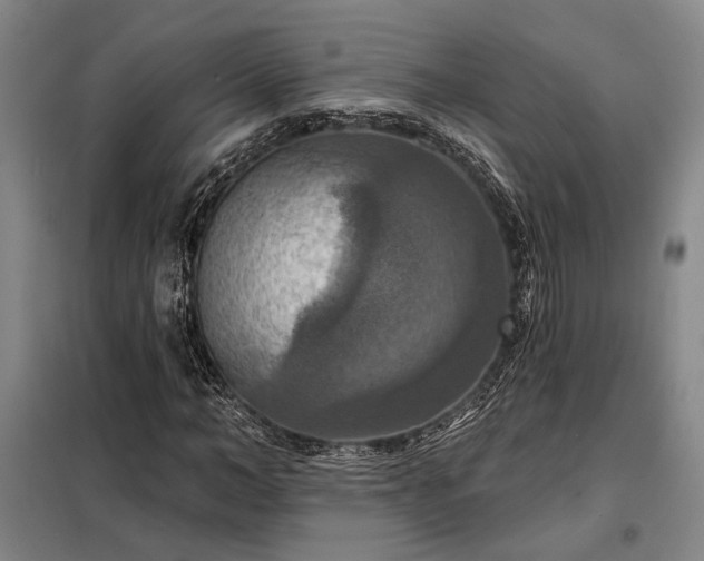 X0000098210966200805011207