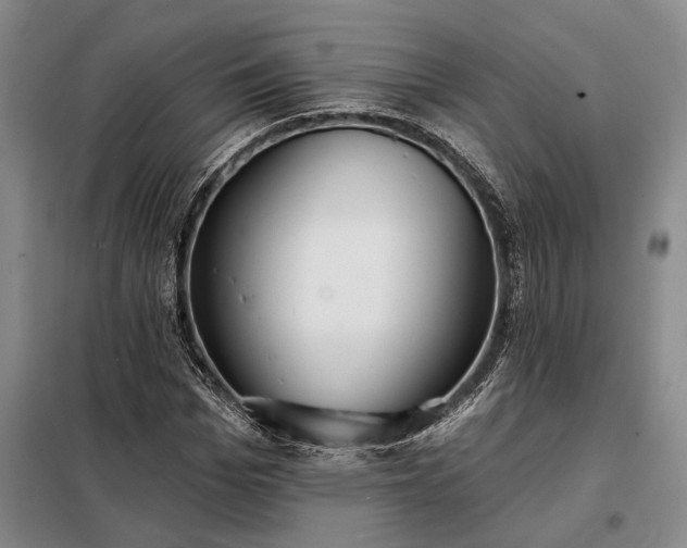 X0000098210969200805011207