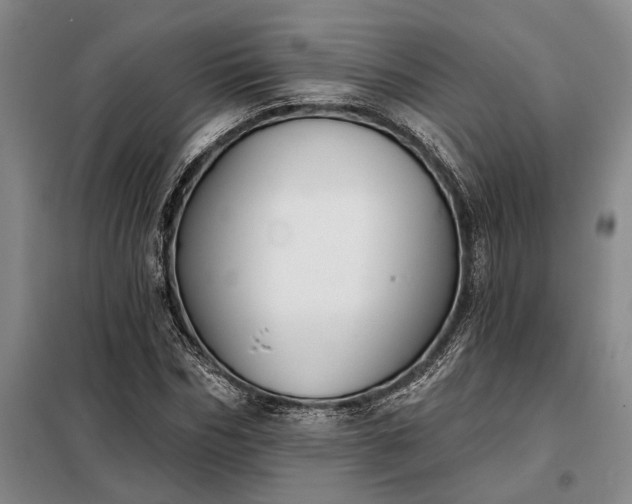 X0000098210970200805011207