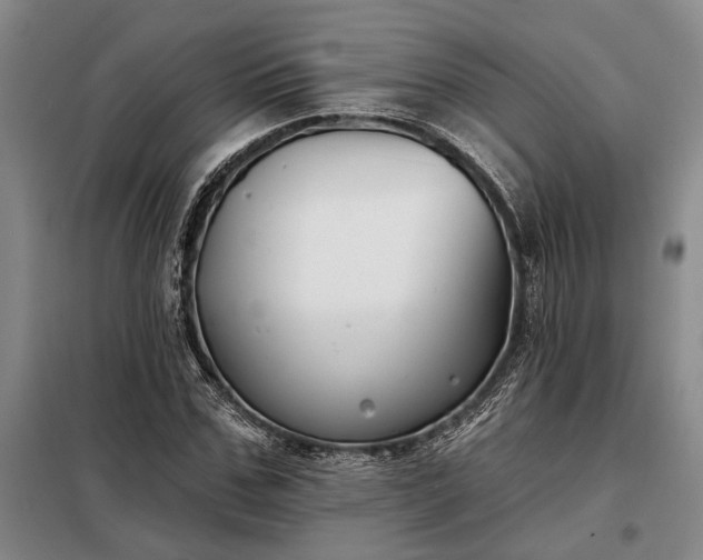 X0000098210971200805011207