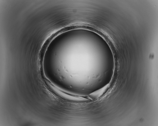 X0000098210973200805011207