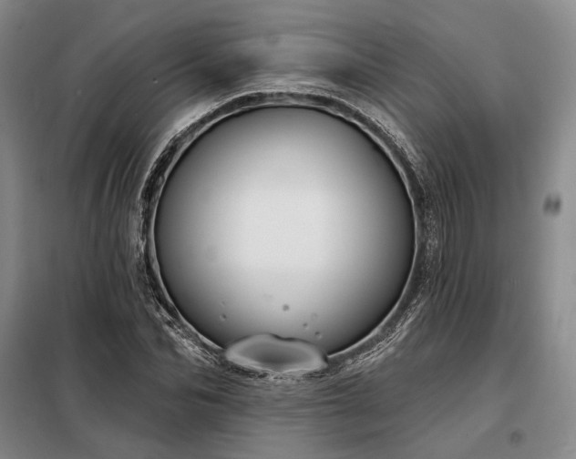 X0000098210974200805011207