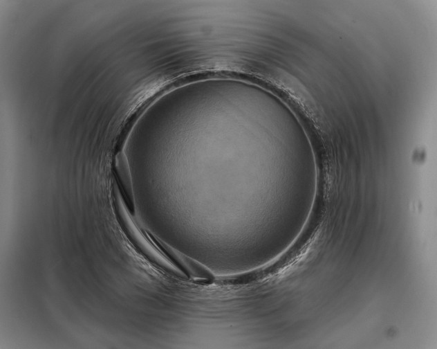 X0000098210977200805011207