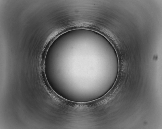 X0000098210978200805011207