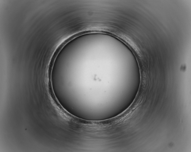 X0000098210980200805011207