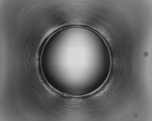 X0000098210981200805011207