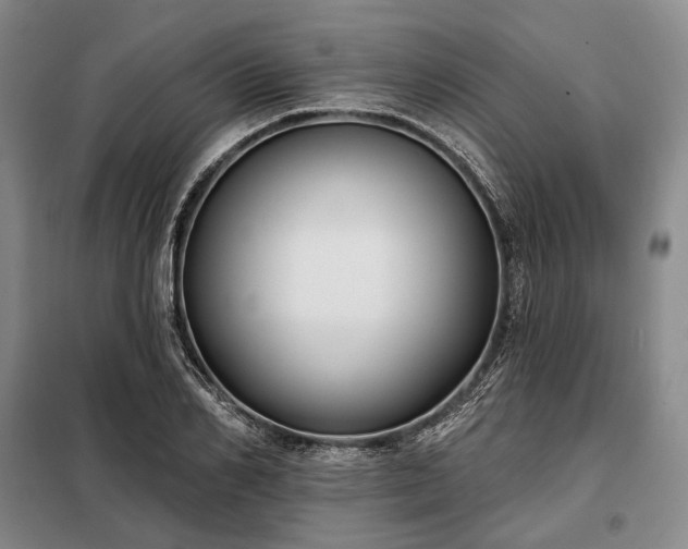 X0000098210982200805011207