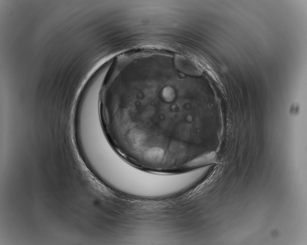 X0000098210984200805011207