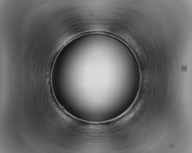 X0000098210985200805011207