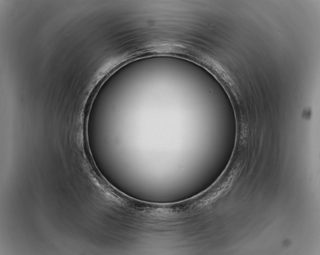 X0000098210986200805011206