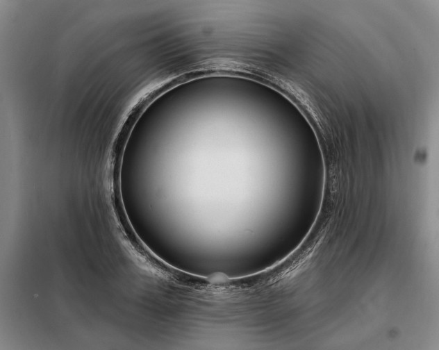 X0000098210987200805011206