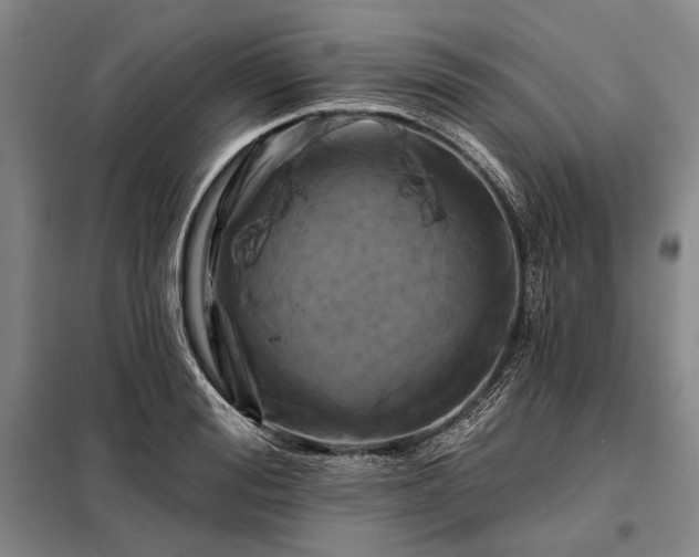 X0000098210988200805011206