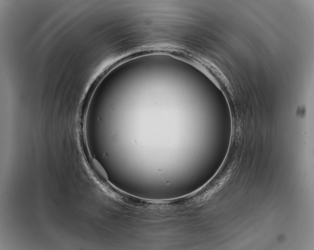 X0000098210989200805011206
