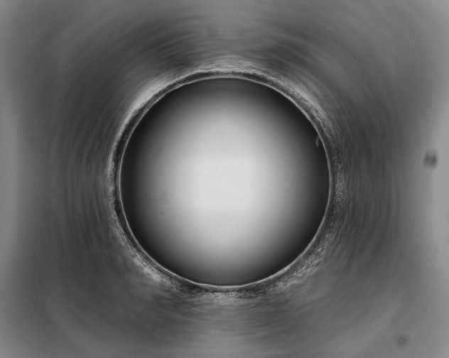 X0000098210990200805011206