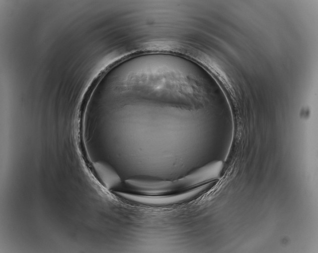 X0000098210992200805011206