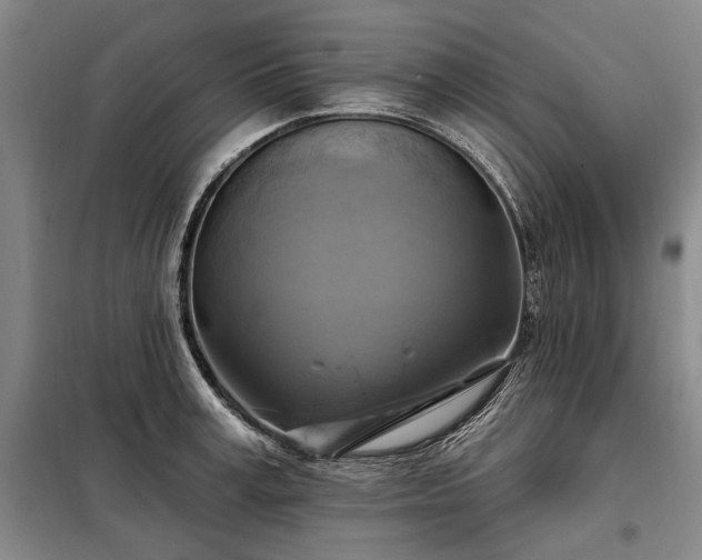 X0000098210995200805011206