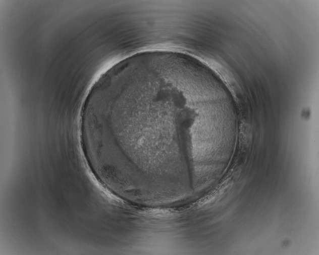 X0000098210998200805011206