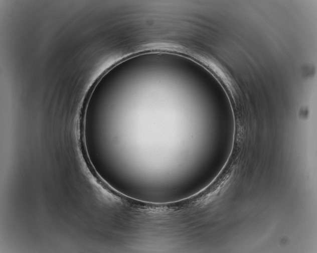 X0000098210999200805011206