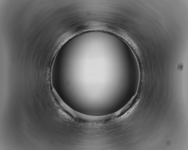 X0000098211001200805011206