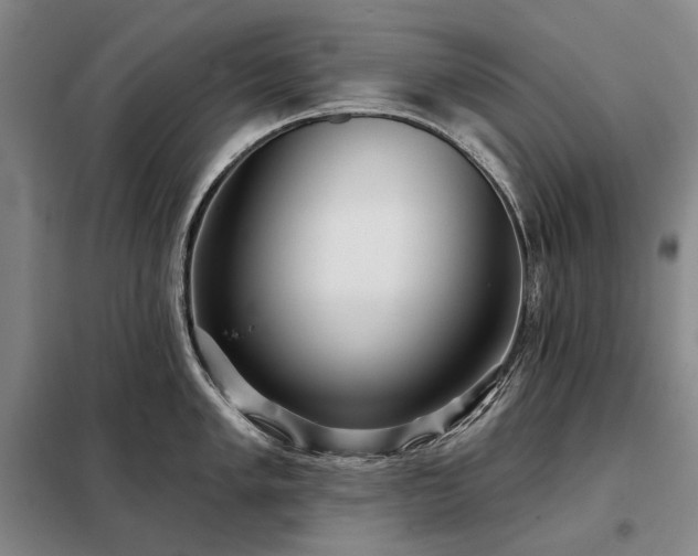 X0000098211005200805011206