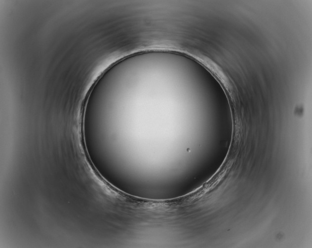 X0000098211006200805011206