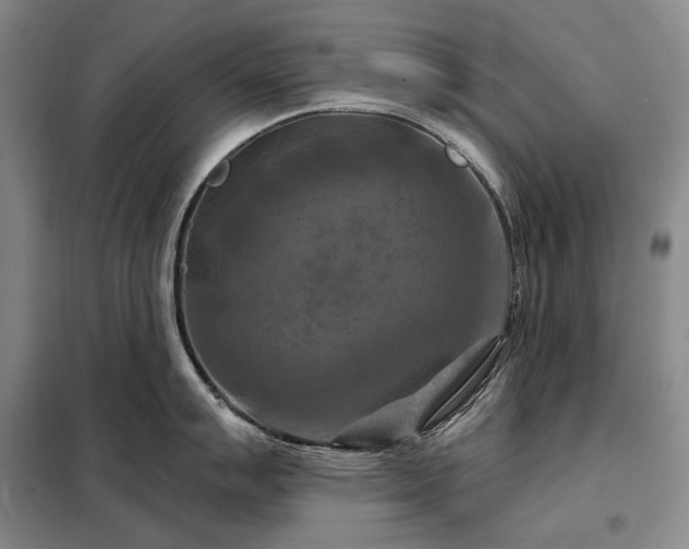 X0000098211007200805011206