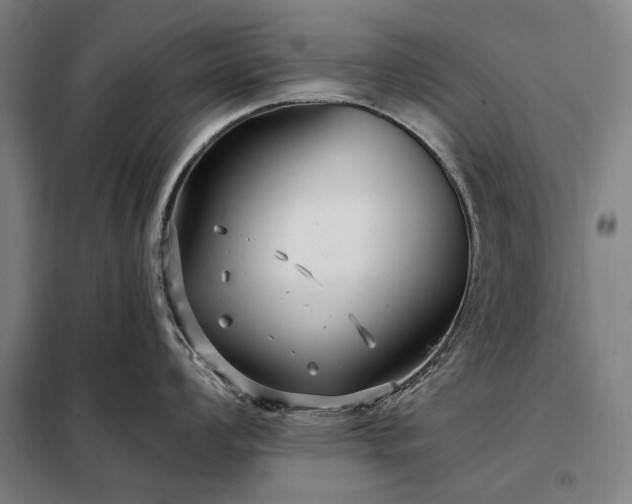 X0000098211008200805011206