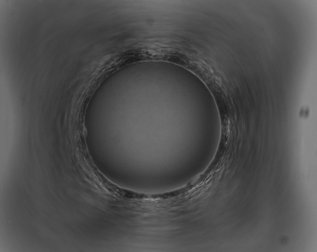 X0000098211009200805011205