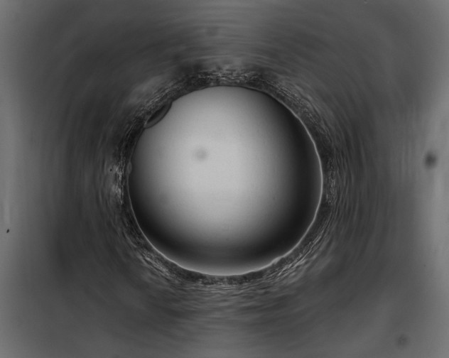 X0000098211010200805011205