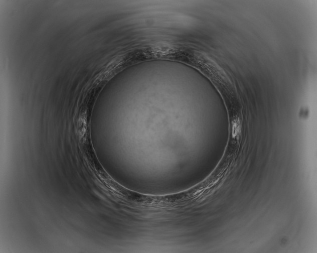 X0000098211011200805011205