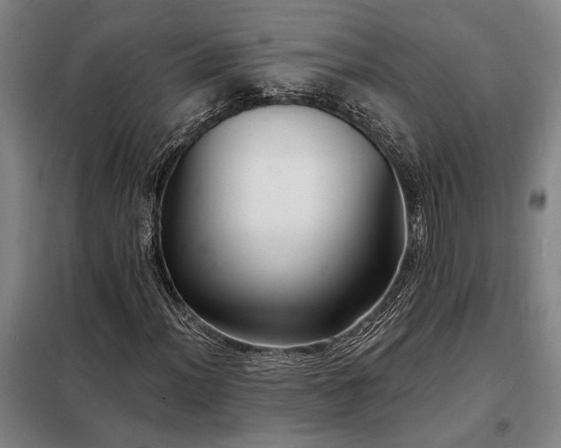 X0000098211012200805011205