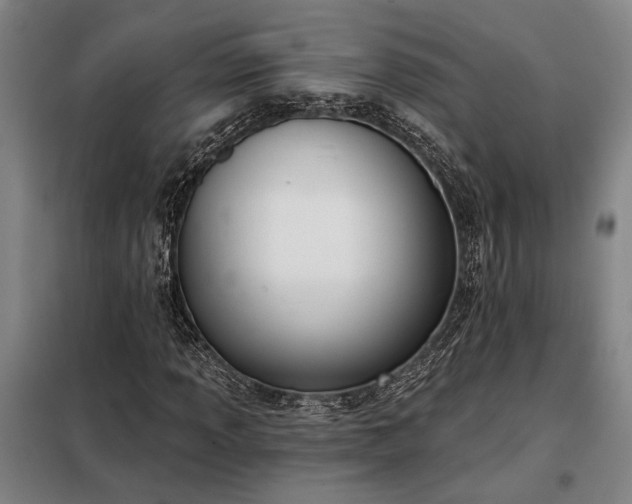 X0000098211013200805011205