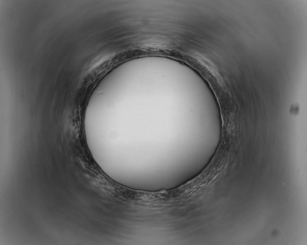 X0000098211015200805011205